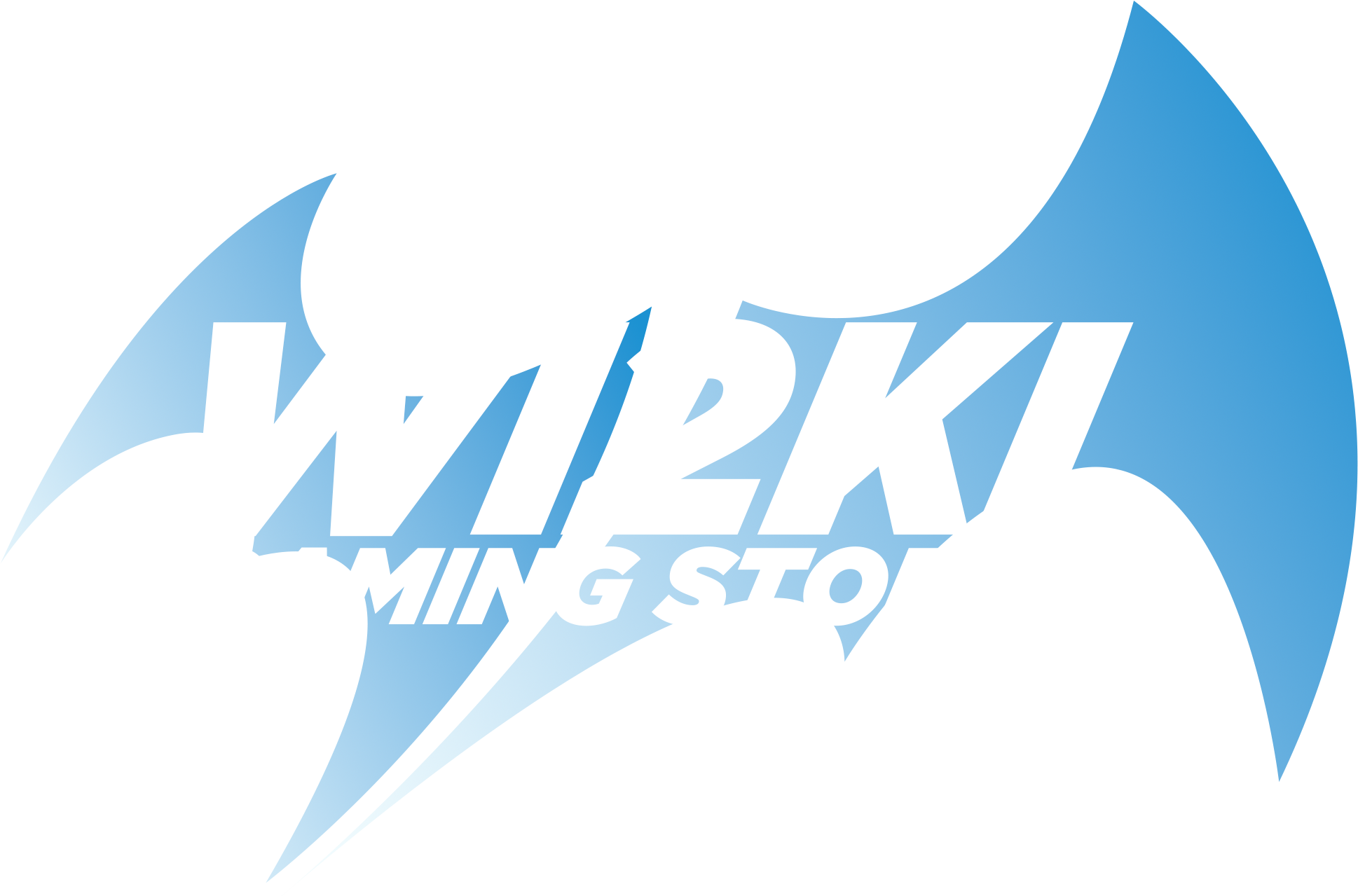 Wizki Store Logo